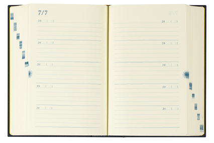 [Midori] 10 Year Diary