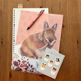 [FELISSIMO CORPORATION] Clear File [ Folder ] : Rabbit x Pink-