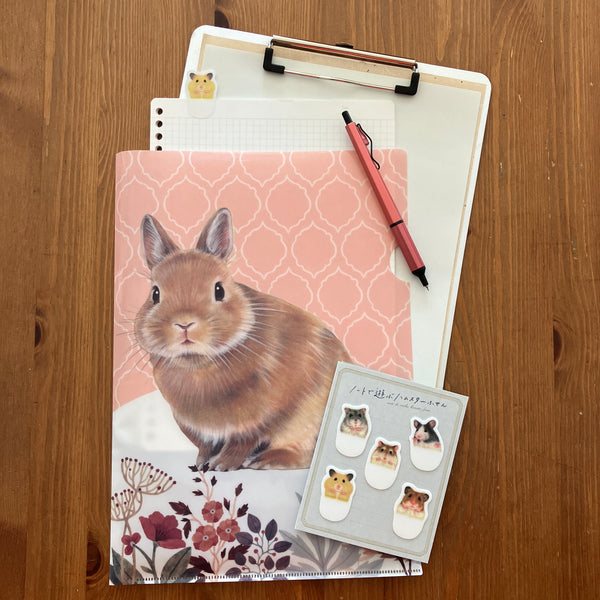 [FELISSIMO CORPORATION] Clear File [ Folder ] : Rabbit x Pink-