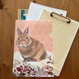 [FELISSIMO CORPORATION] Clear File [ Folder ] : Rabbit x Pink-