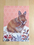 Clear File -Rabbit x Pink-