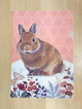 Clear File -Rabbit x Pink-